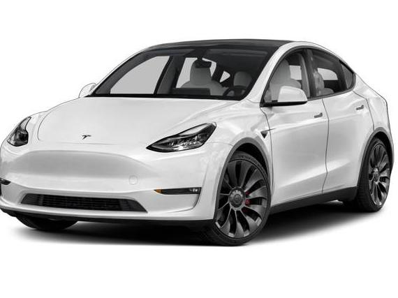 TESLA MODEL Y 2021 5YJYGDEE2MF230785 image